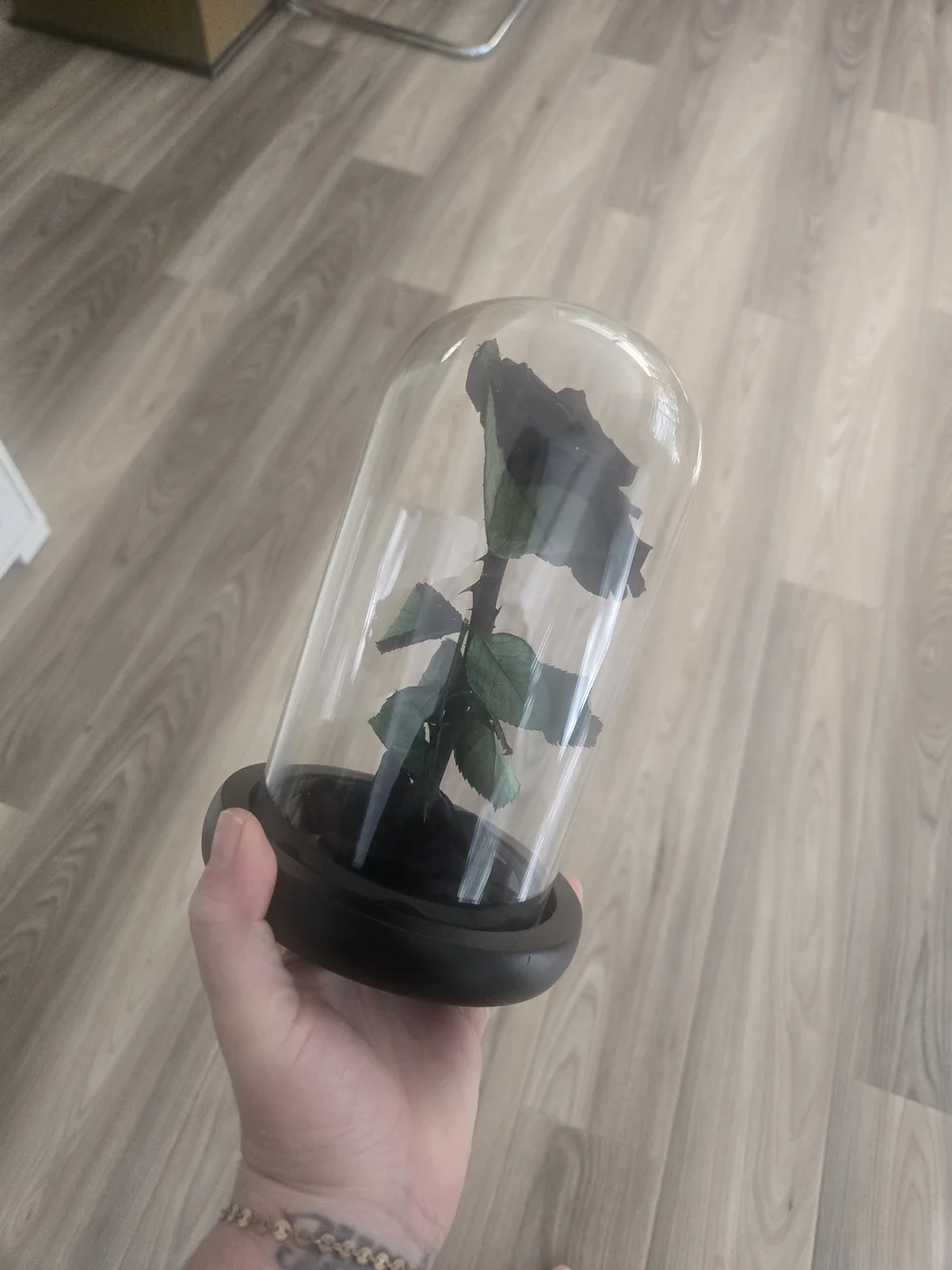 Black Preserved Rose in Decorative Dome - Home Accents